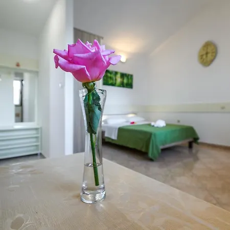Guest house Nena *