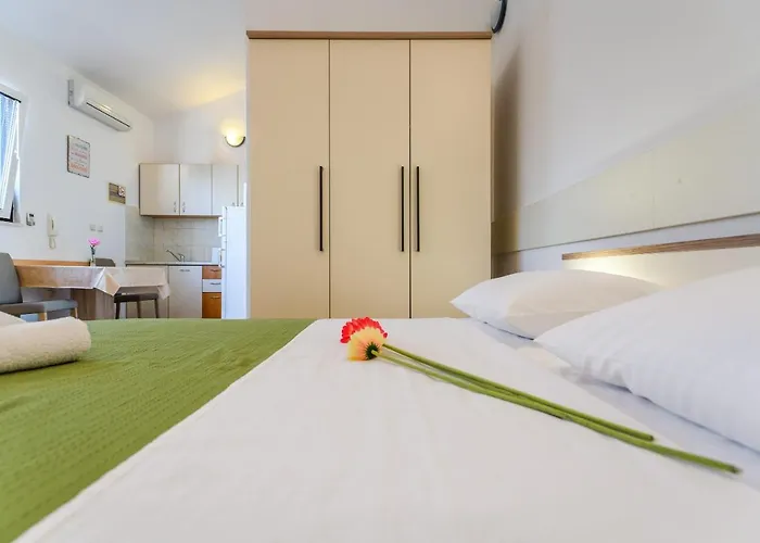 Gostinjska kuća Nena 4*